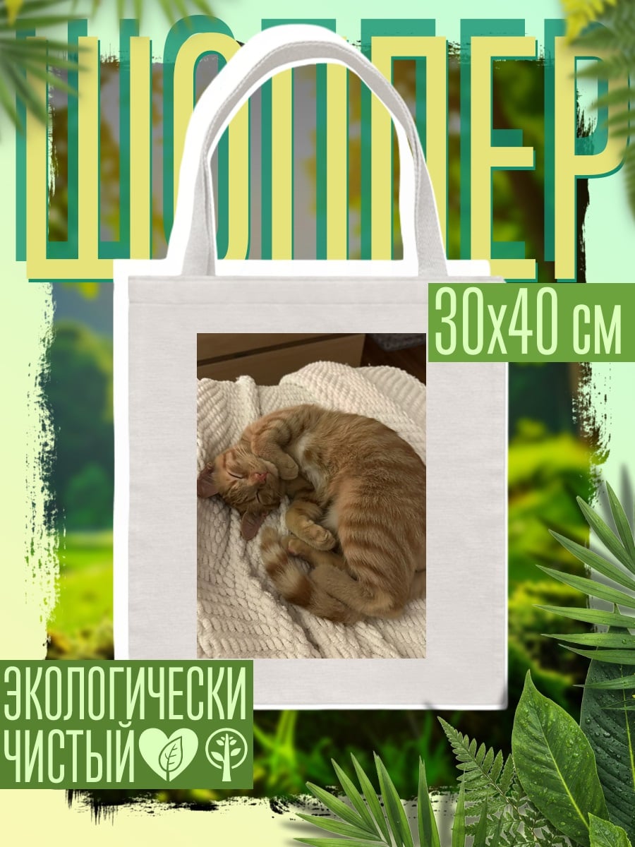 Шоппер Спящий рыжий кот