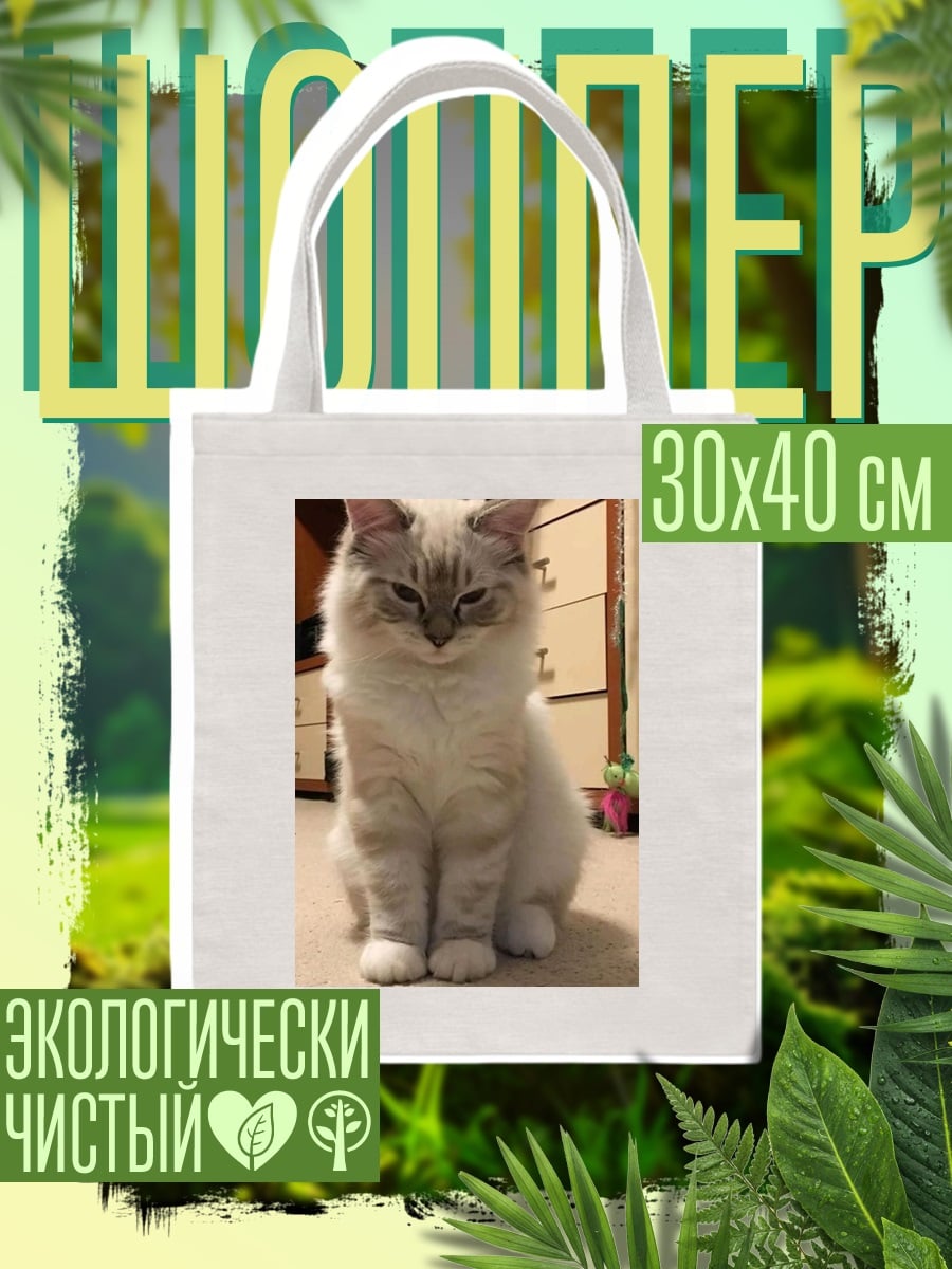 Шоппер пушистый кот сидит