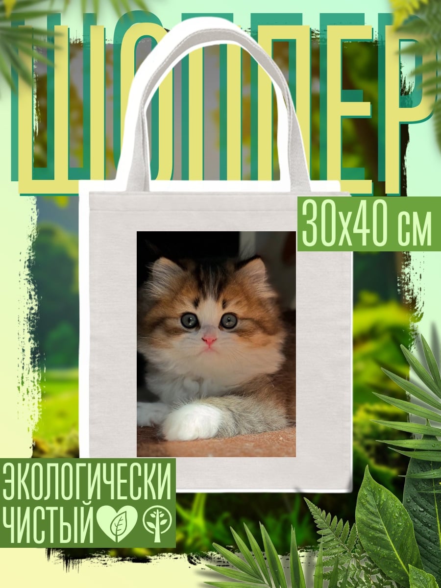Шоппер Пушистый котенок с голубыми глазами