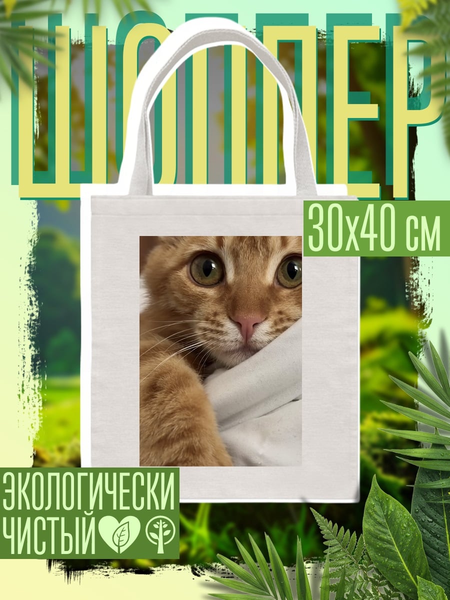 Шоппер Рыжий кот смотрит