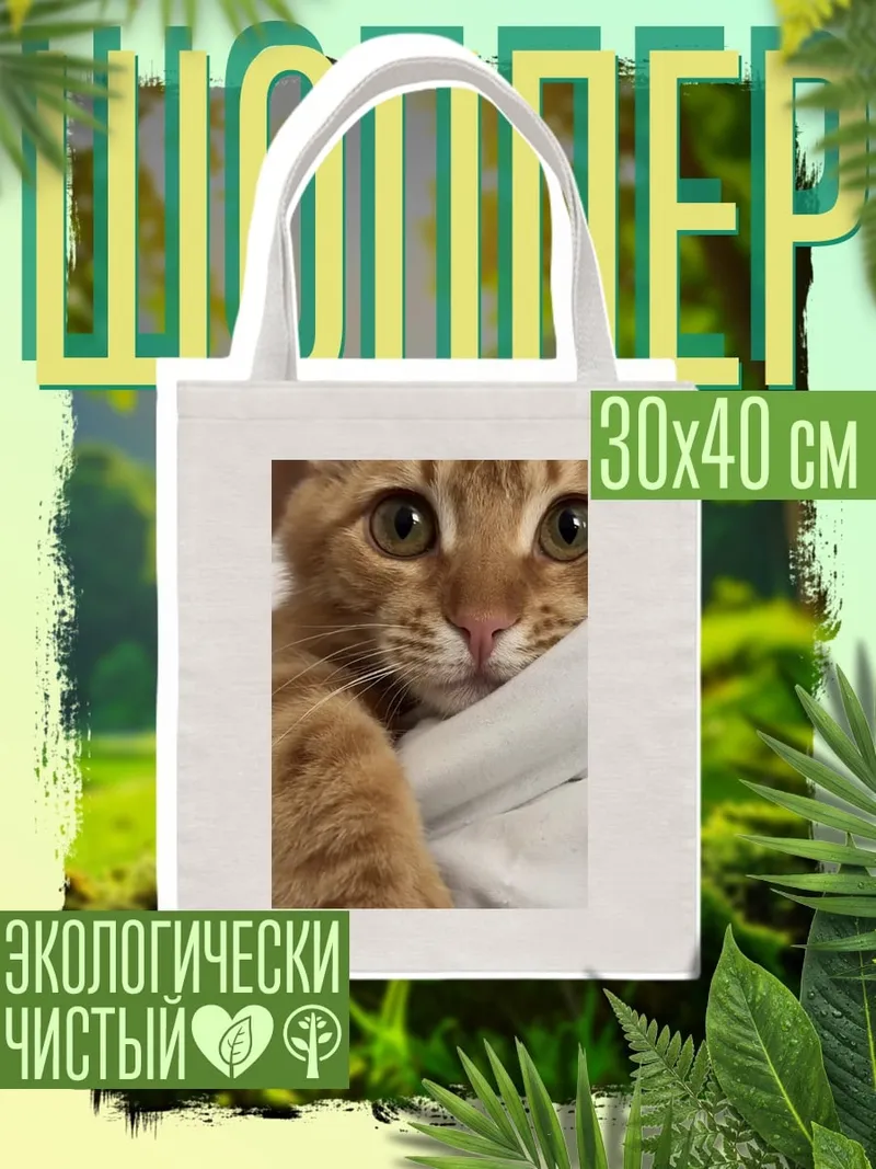 Шоппер Рыжий кот смотрит