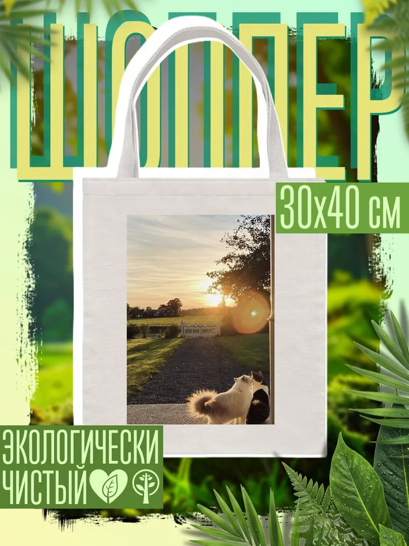 Шоппер Кот на закате