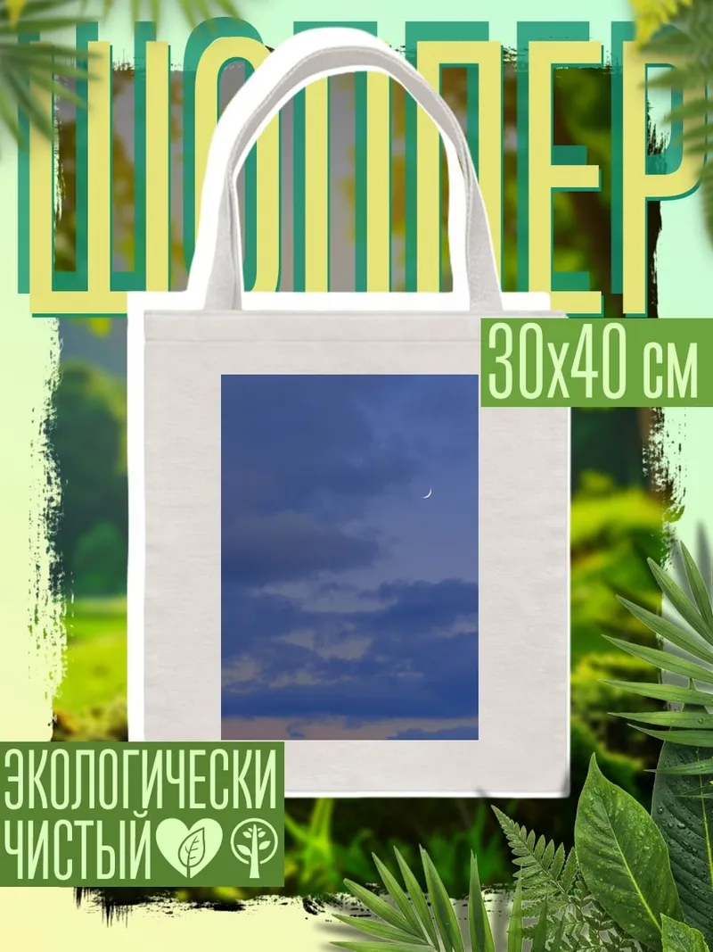 Шоппер Лунная ночь