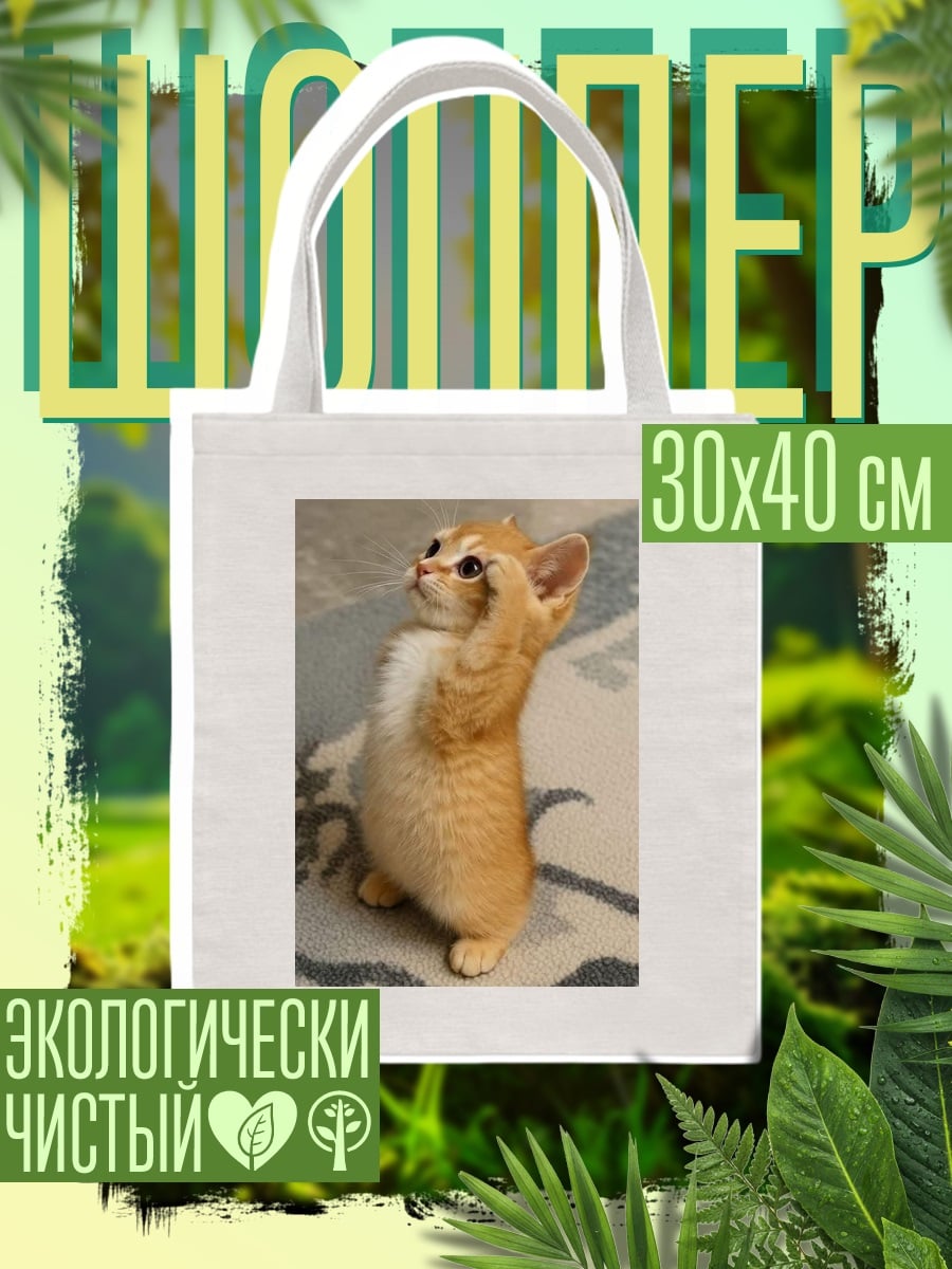 Шоппер Рыжий котенок смотрит вверх