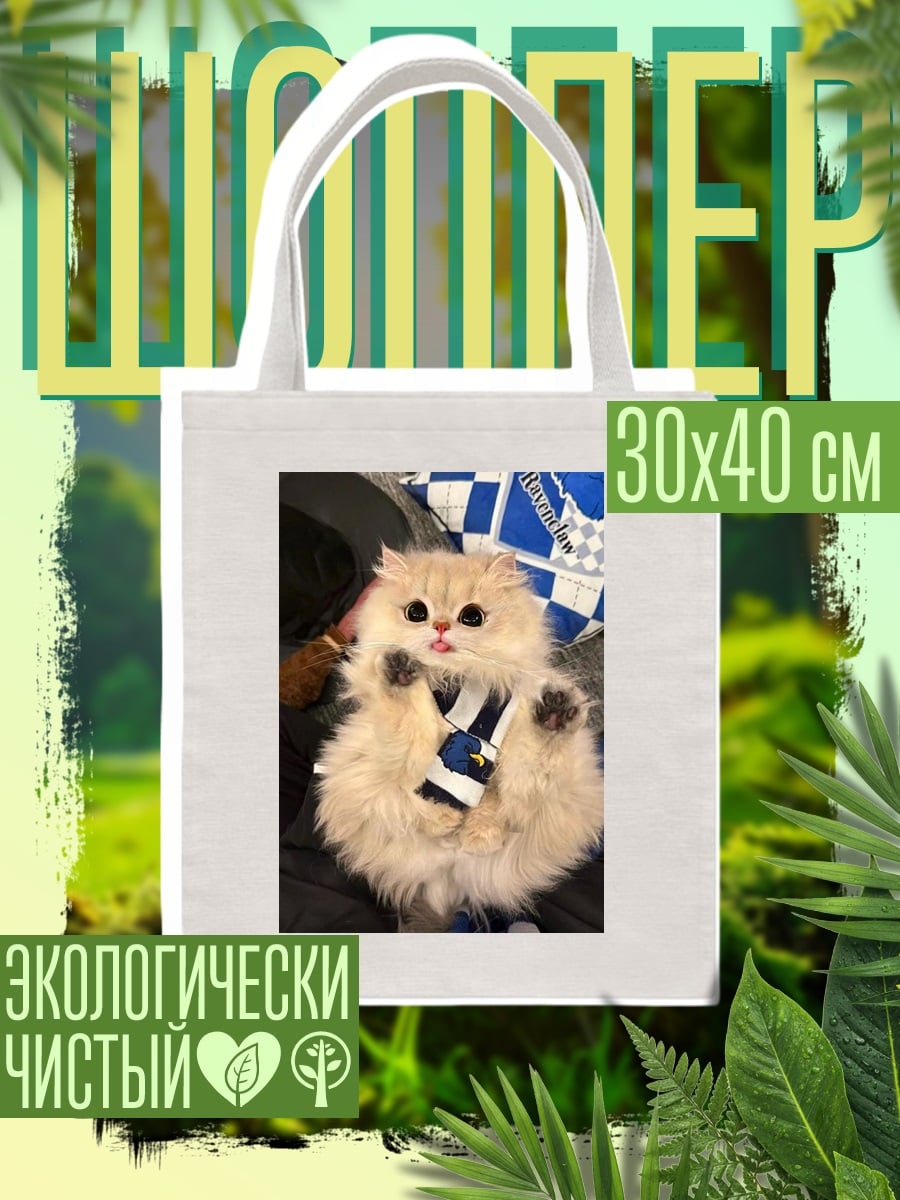 Шоппер Пушистый кот в костюме