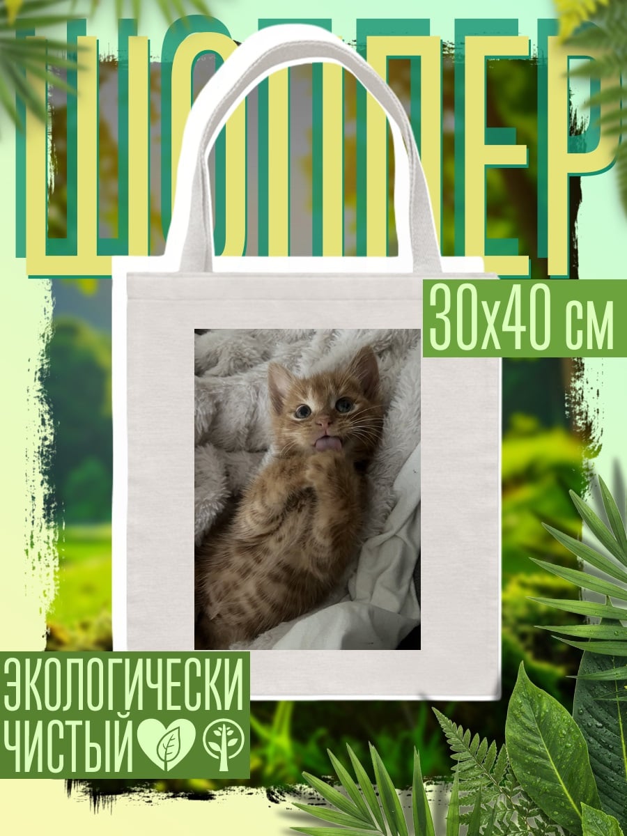 Шоппер Рыжий котенок лежит
