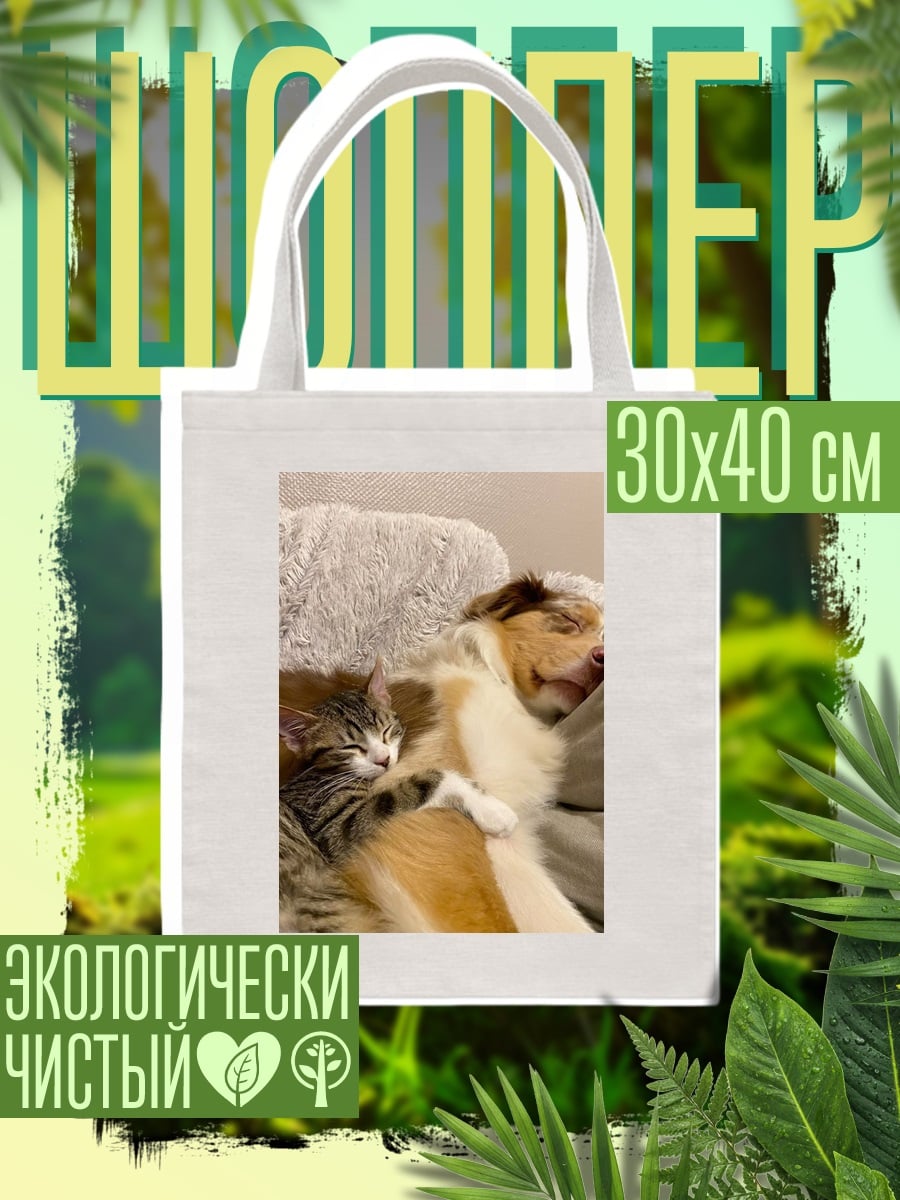 Шоппер Кот и собака спят