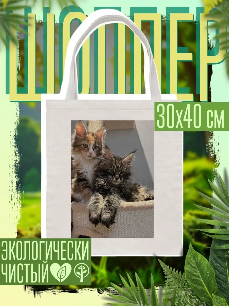 Шоппер Два котенка Мейн-кун