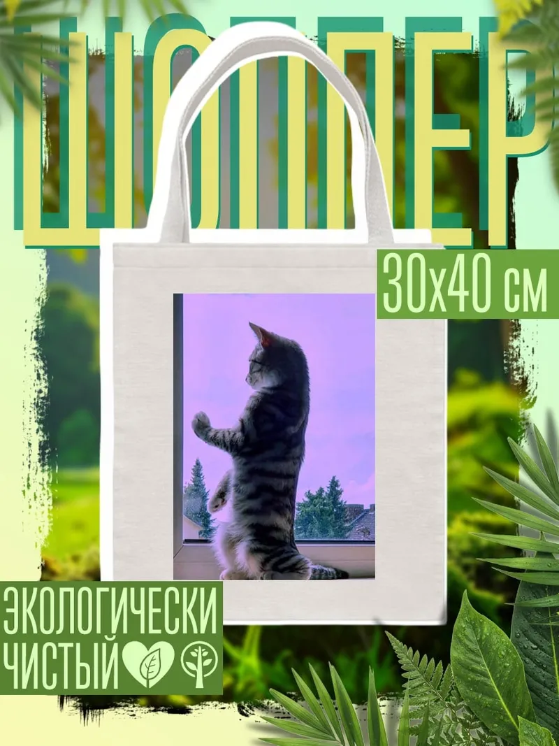 Шоппер Кот у окна