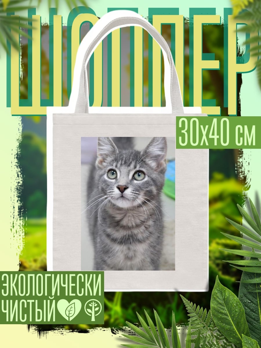 Шоппер Серый полосатый котенок