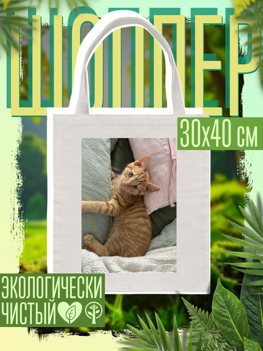 Шоппер Рыжий кот подушки