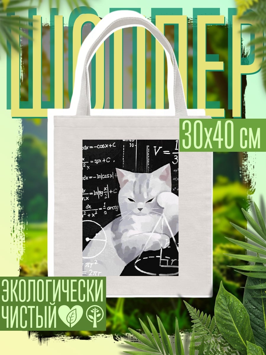 Шоппер Кот и математика