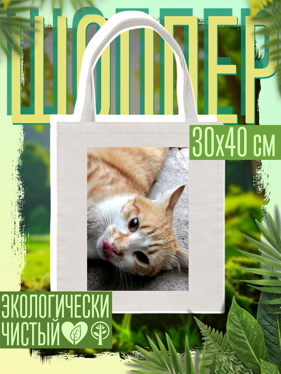 Шоппер Рыжий кот лежит