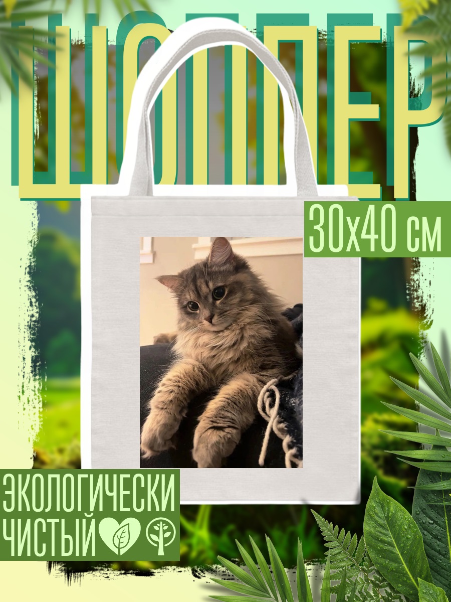 Шоппер Пушистый кот отдыхает