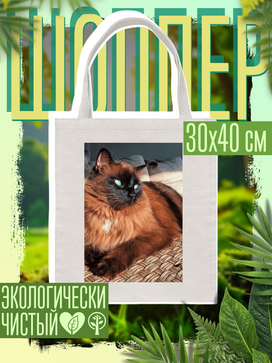 Шоппер Пушистый кот с голубыми глазами