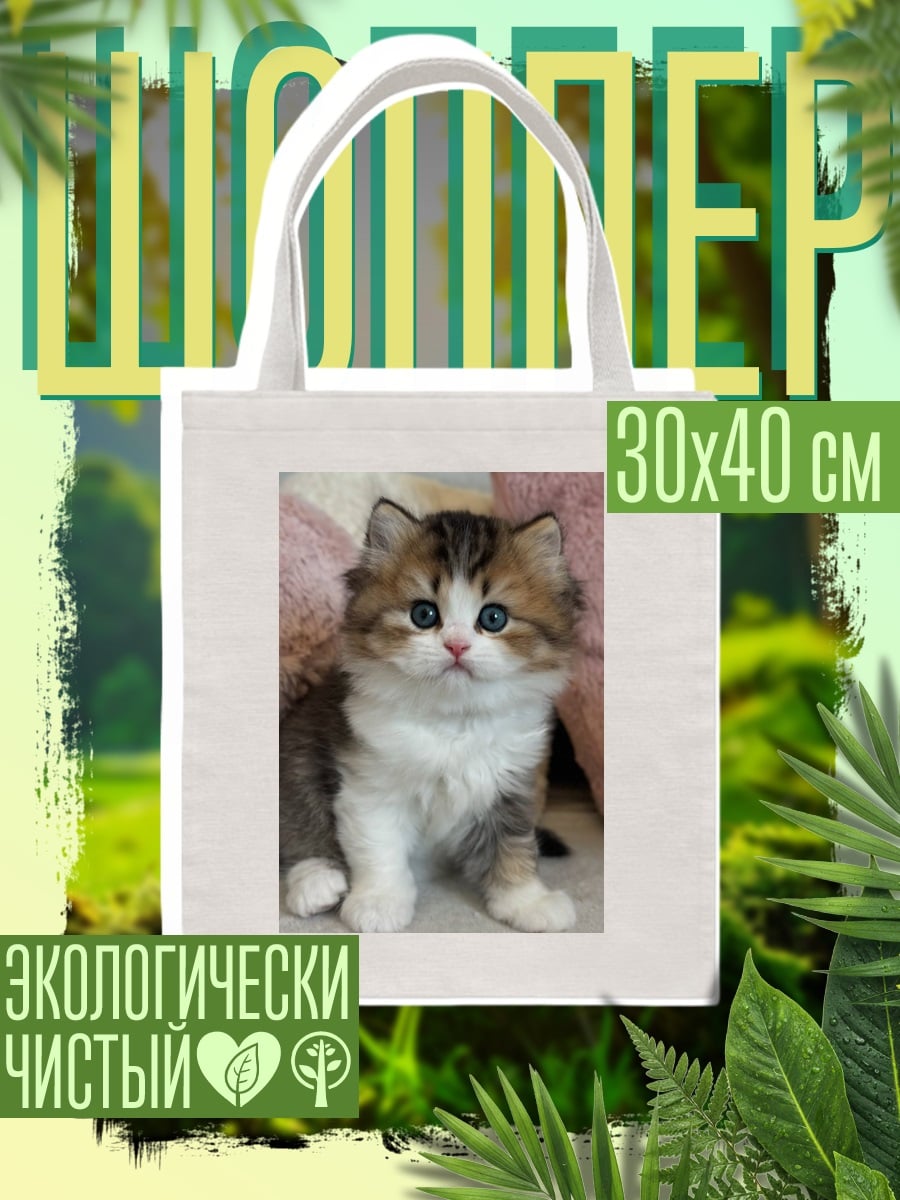 Шоппер Пушистый котёнок сидит