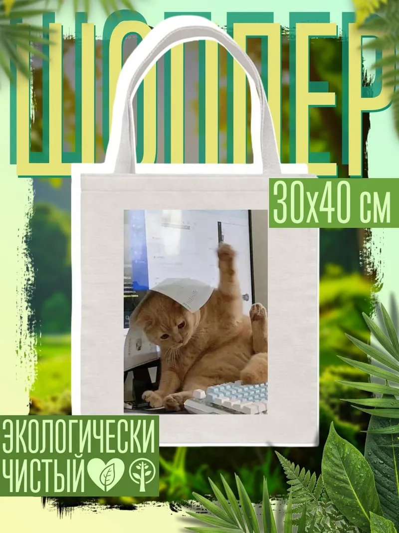 Шоппер Кот за компьютером