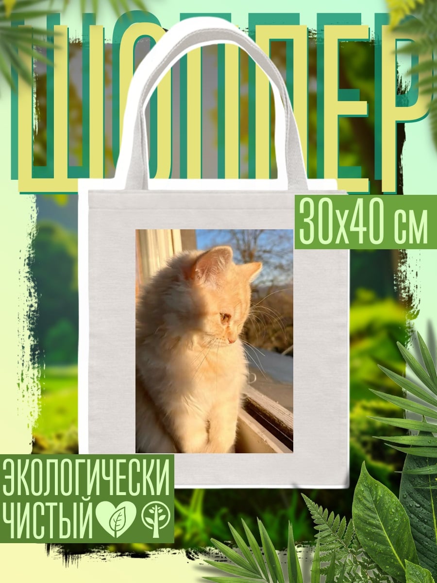 Шоппер Рыжий кот на окне