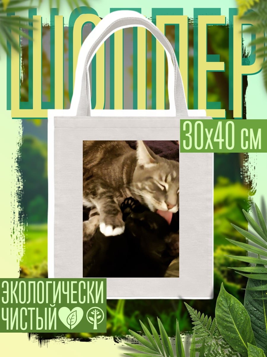 Шоппер Два кота