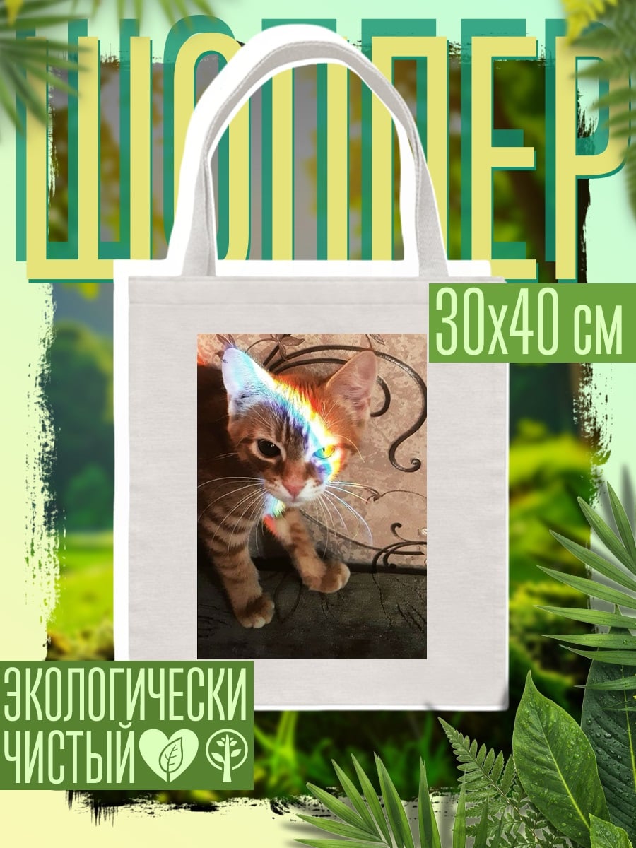 Шоппер Кот с радужным бликом