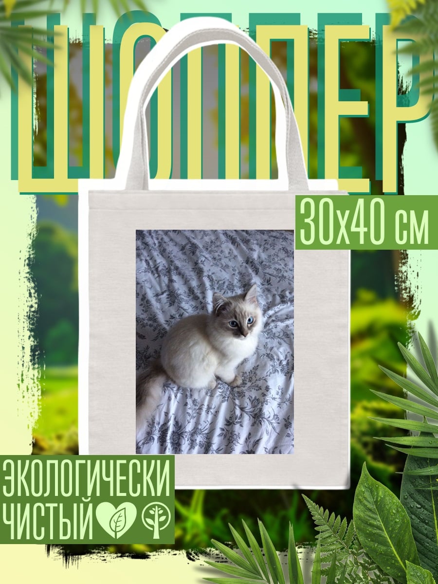 Шоппер Кот на кровати