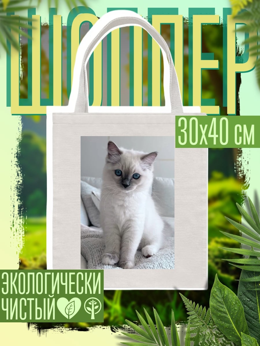 Шоппер Белый котенок с голубыми глазами