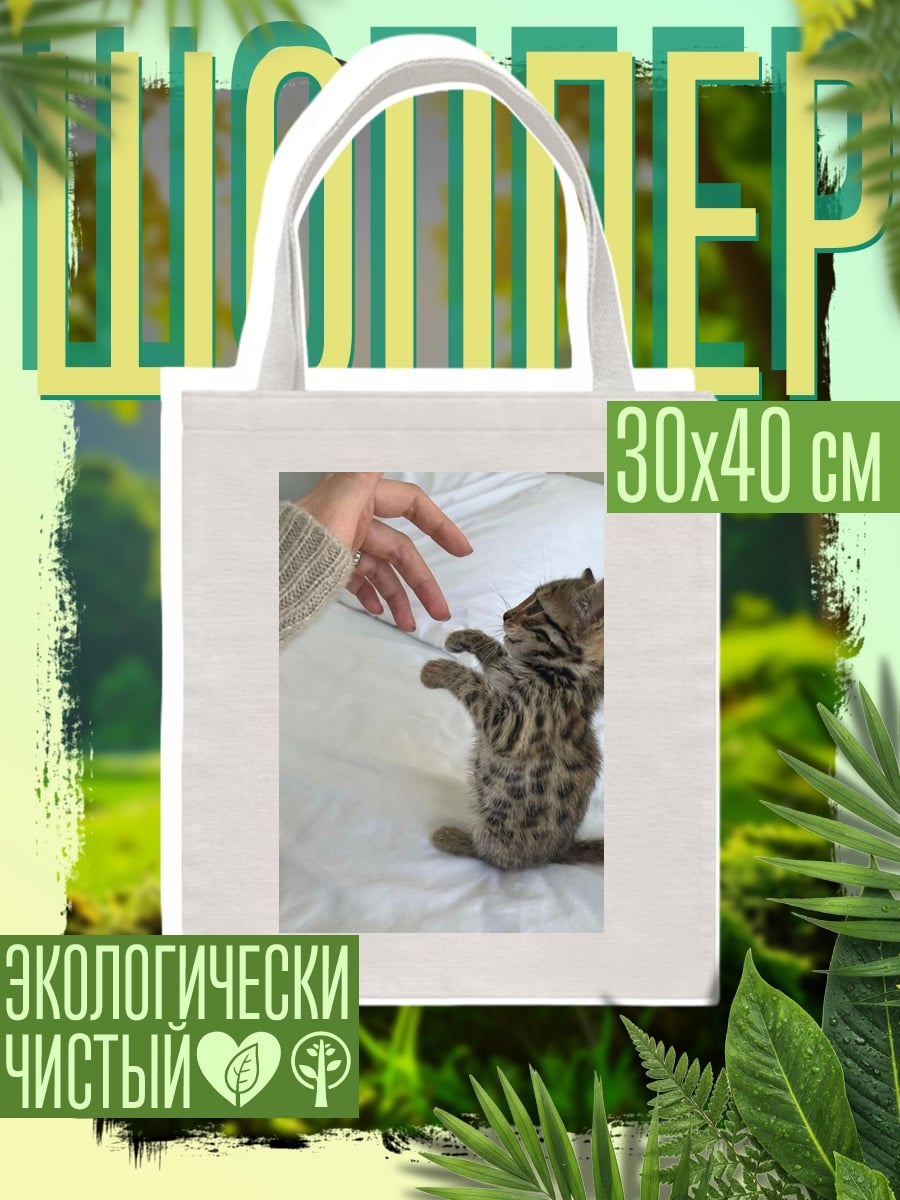 Шоппер Котёнок тянется к руке