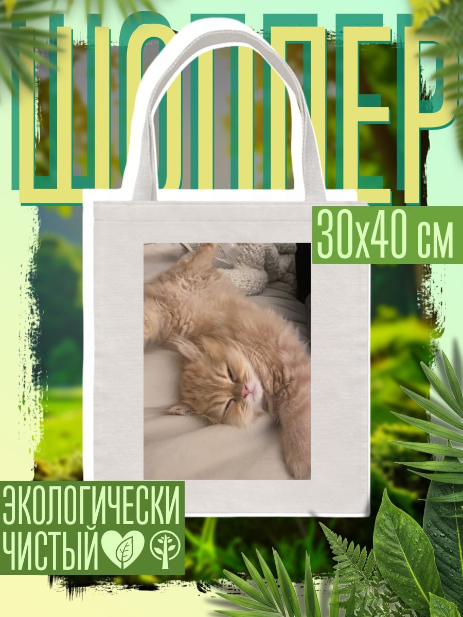 Шоппер Спящий рыжий кот
