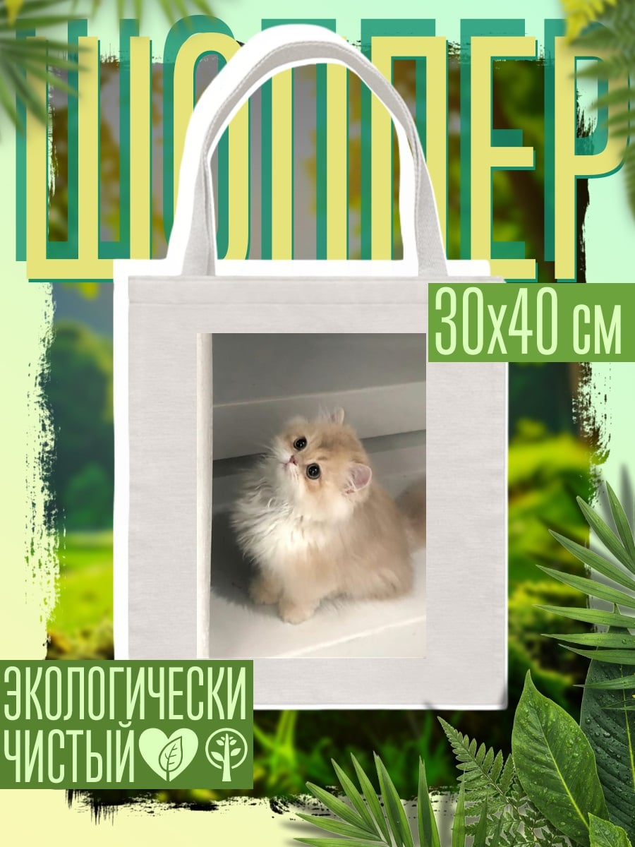 Шоппер Пушистый котенок смотрит вверх