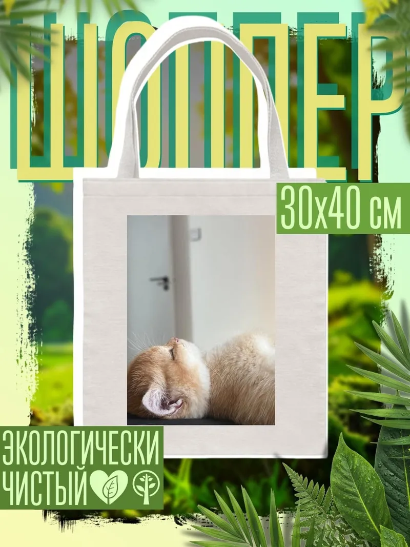 Шоппер Спящий кот