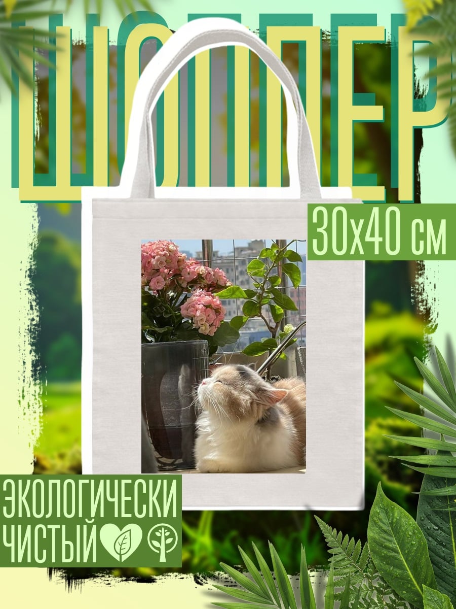 Шоппер Кот у окна