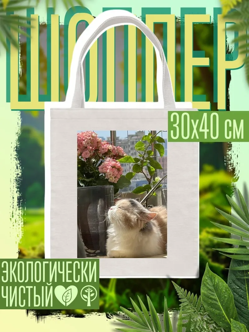 Шоппер Кот у окна
