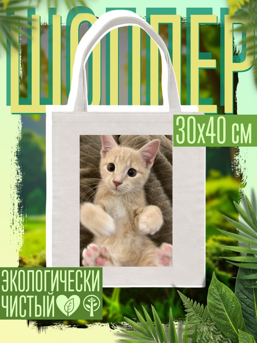 Шоппер Рыжий котенок лежит