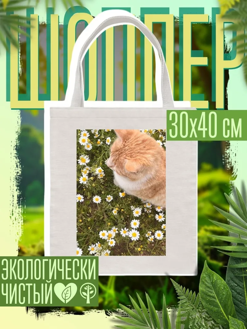 Шоппер Рыжий кот ромашки