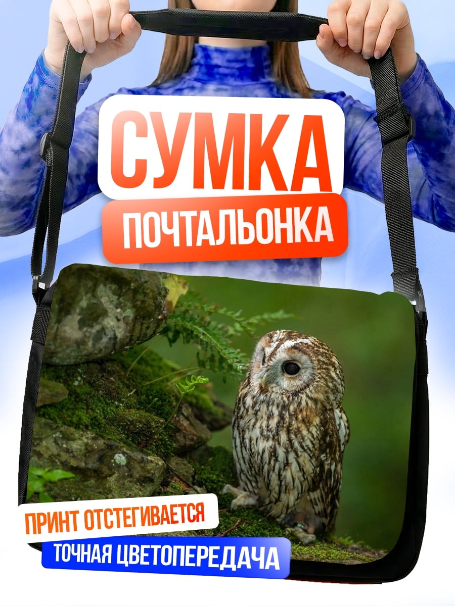 Сумка-почтальонка Сова на камне