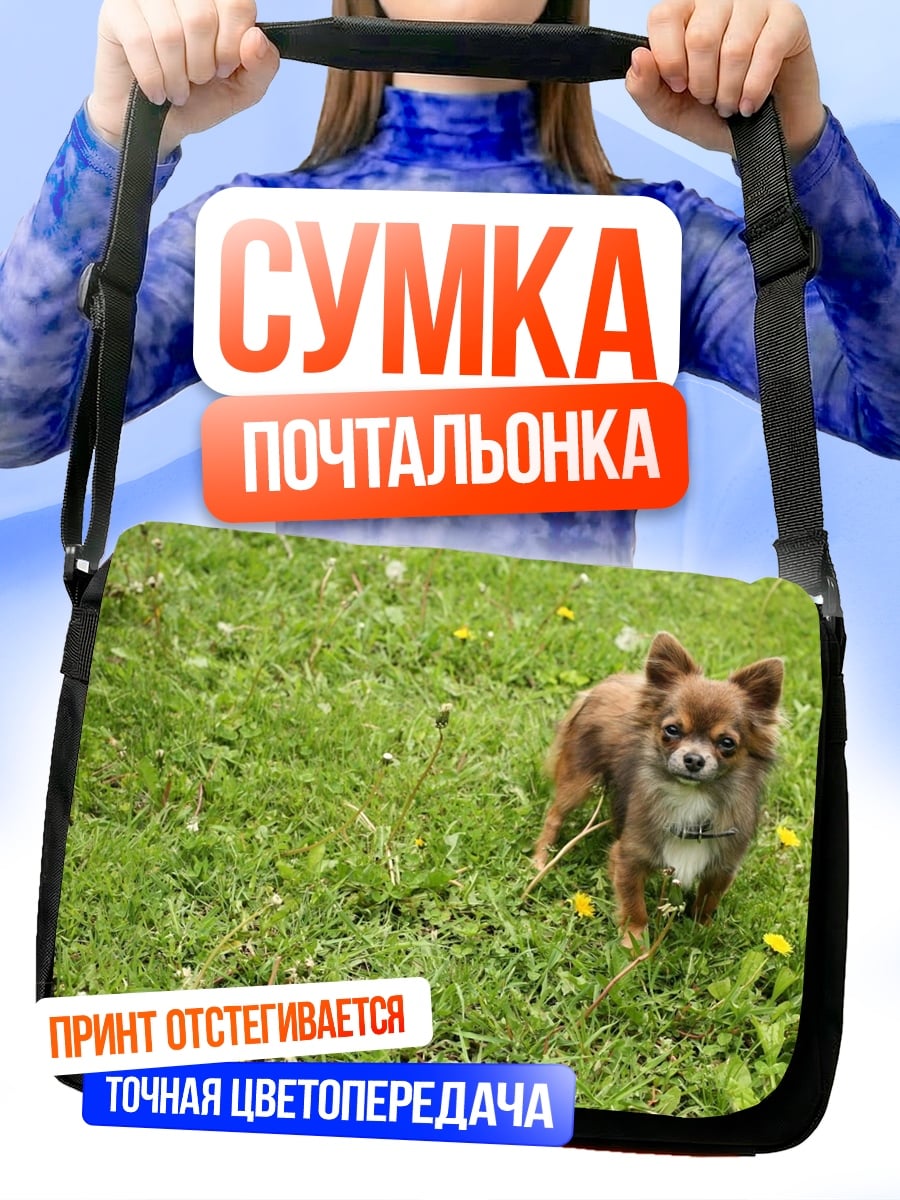 Сумка-почтальонка Чихуахуа на траве