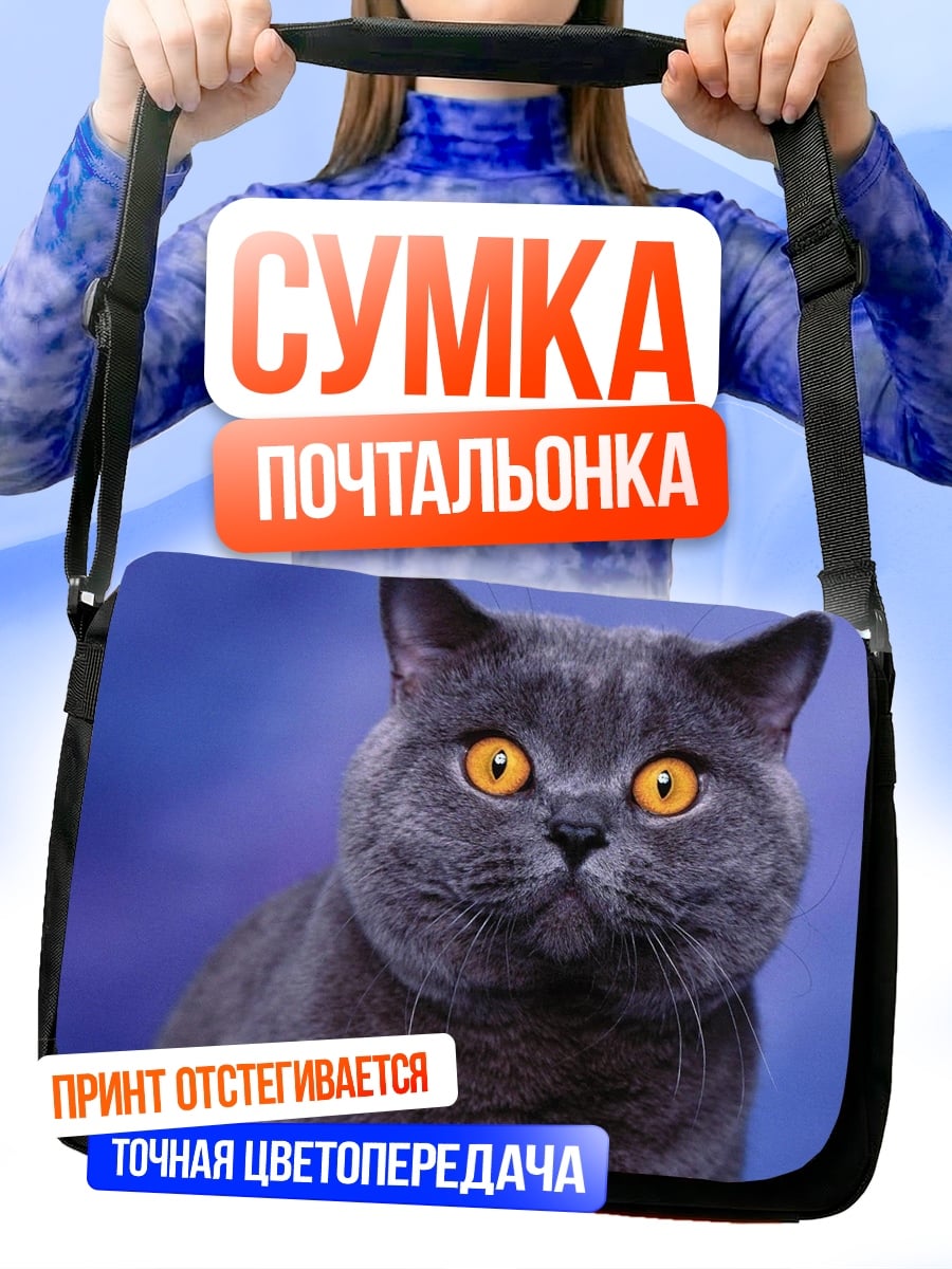 Сумка-почтальонка Британский кот