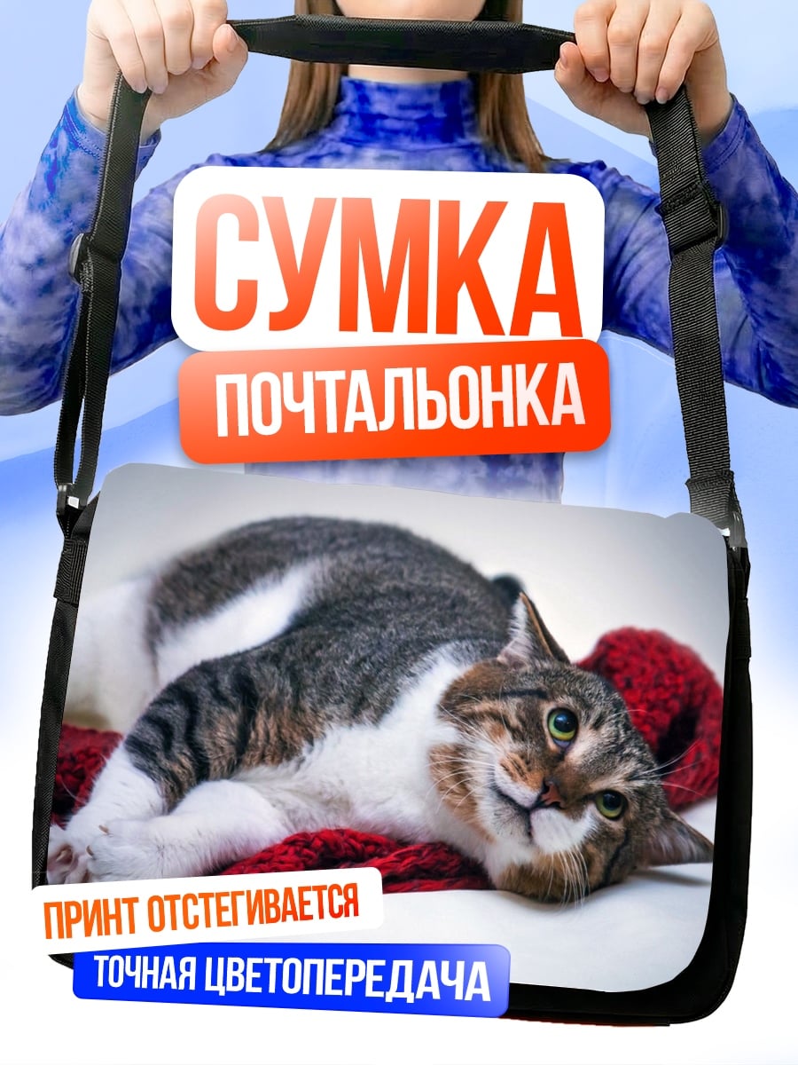 Сумка-почтальонка Ленивый кот