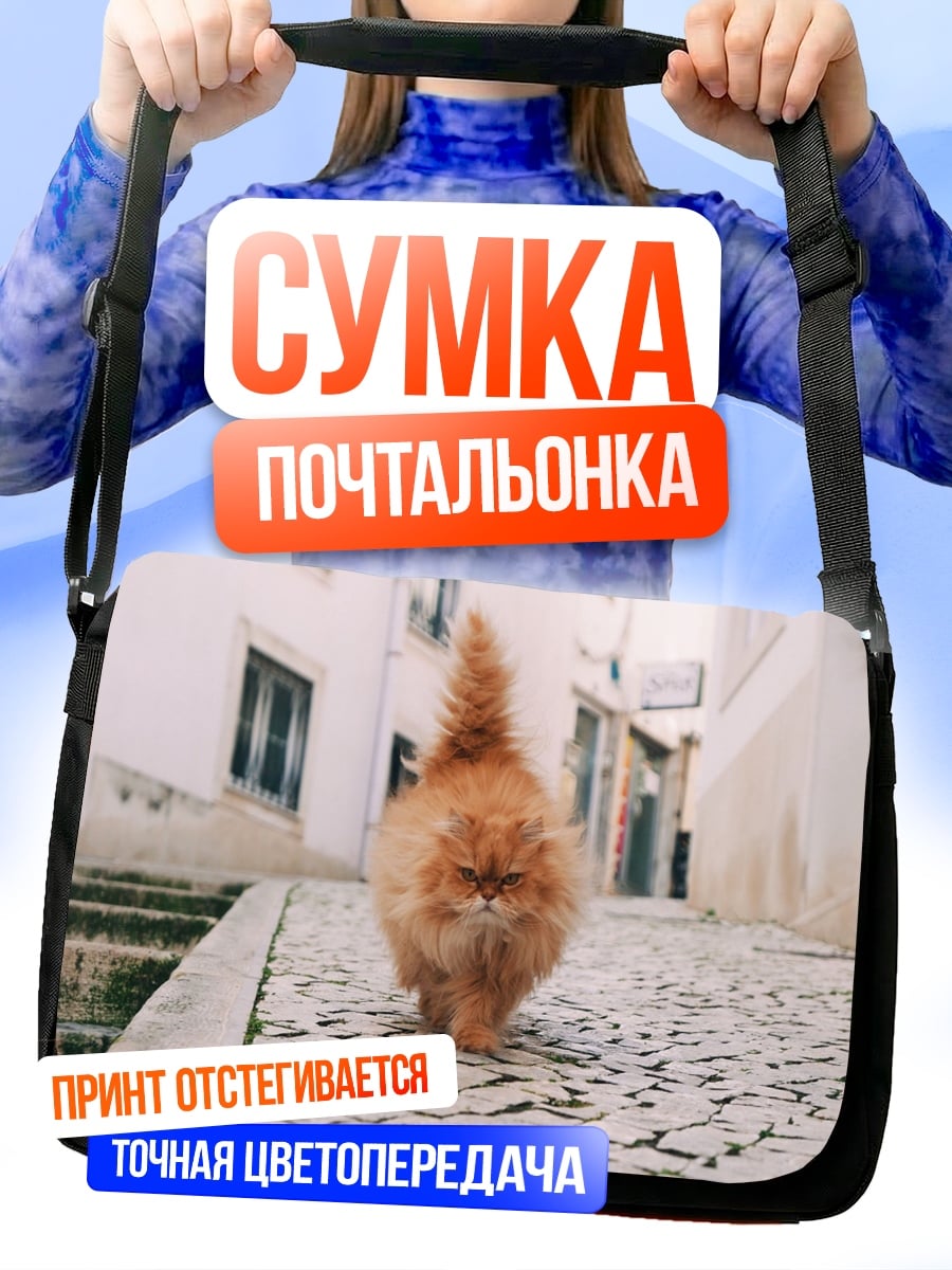 Сумка-почтальонка Рыжий кот идет