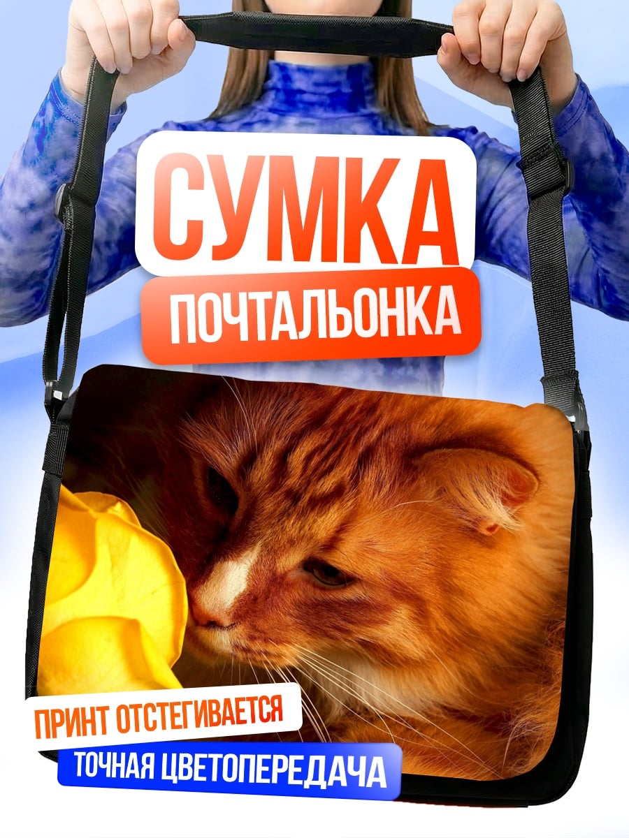 Сумка-почтальонка Рыжий кот и роза
