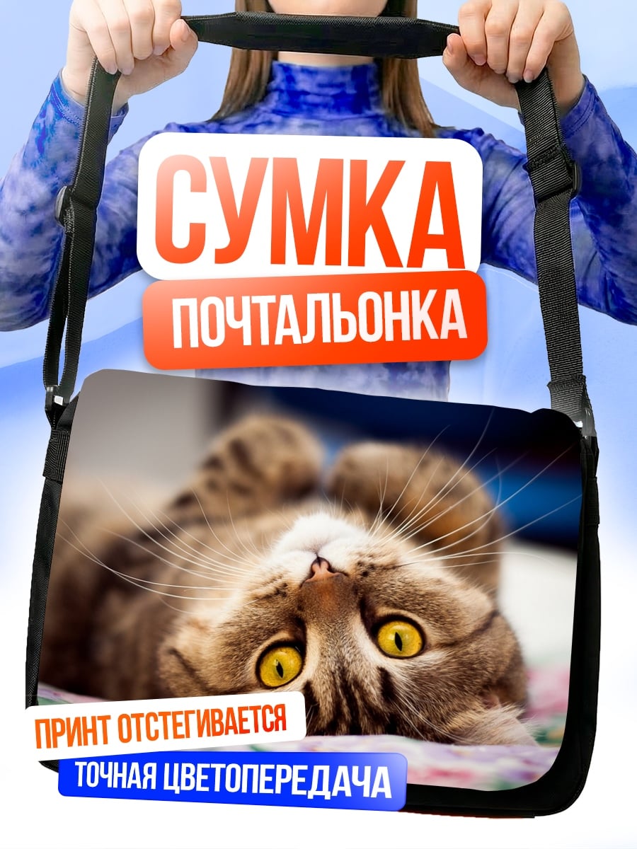 Сумка-почтальонка Ленивый кот