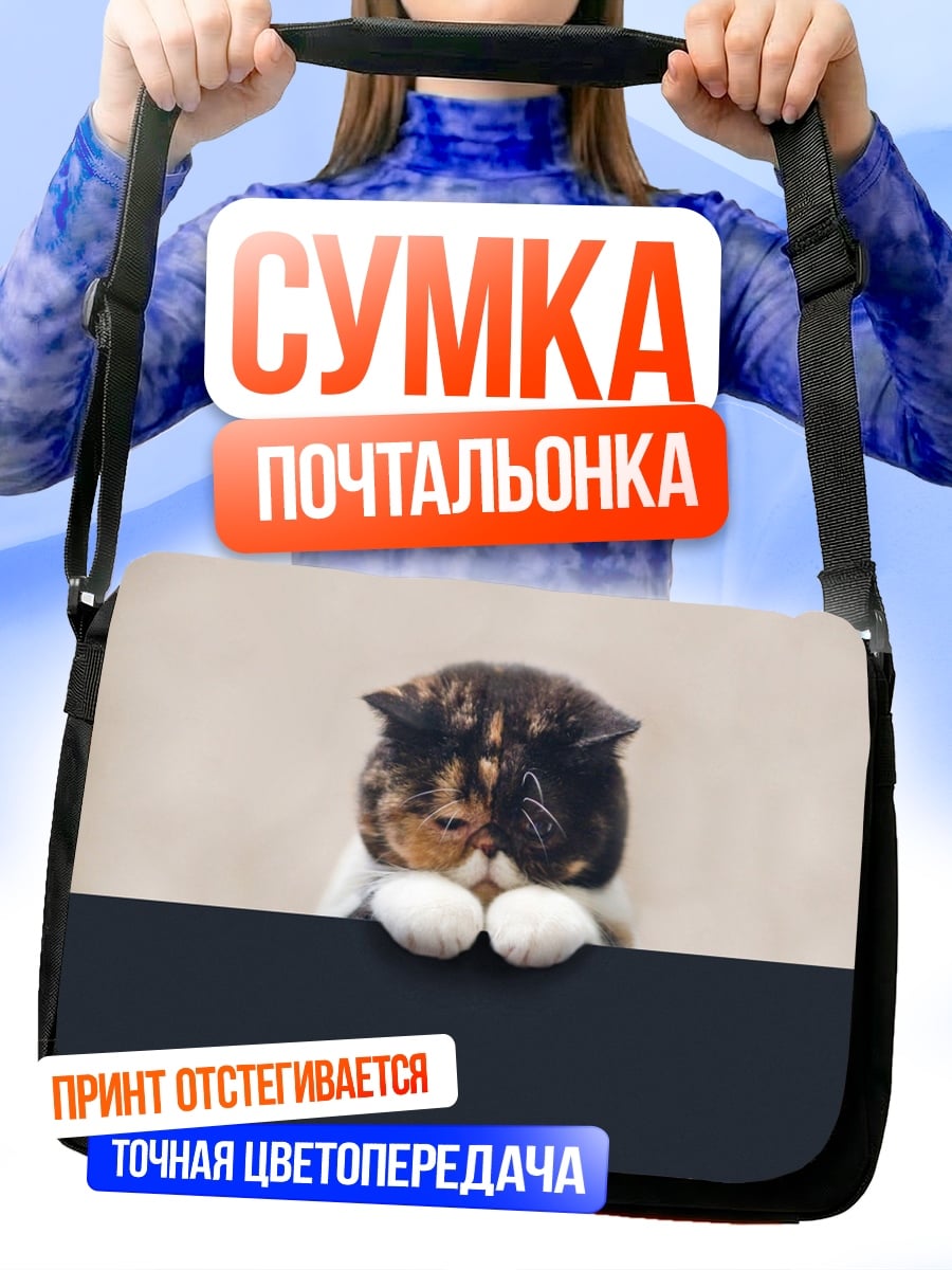 Сумка-почтальонка Грустный котенок