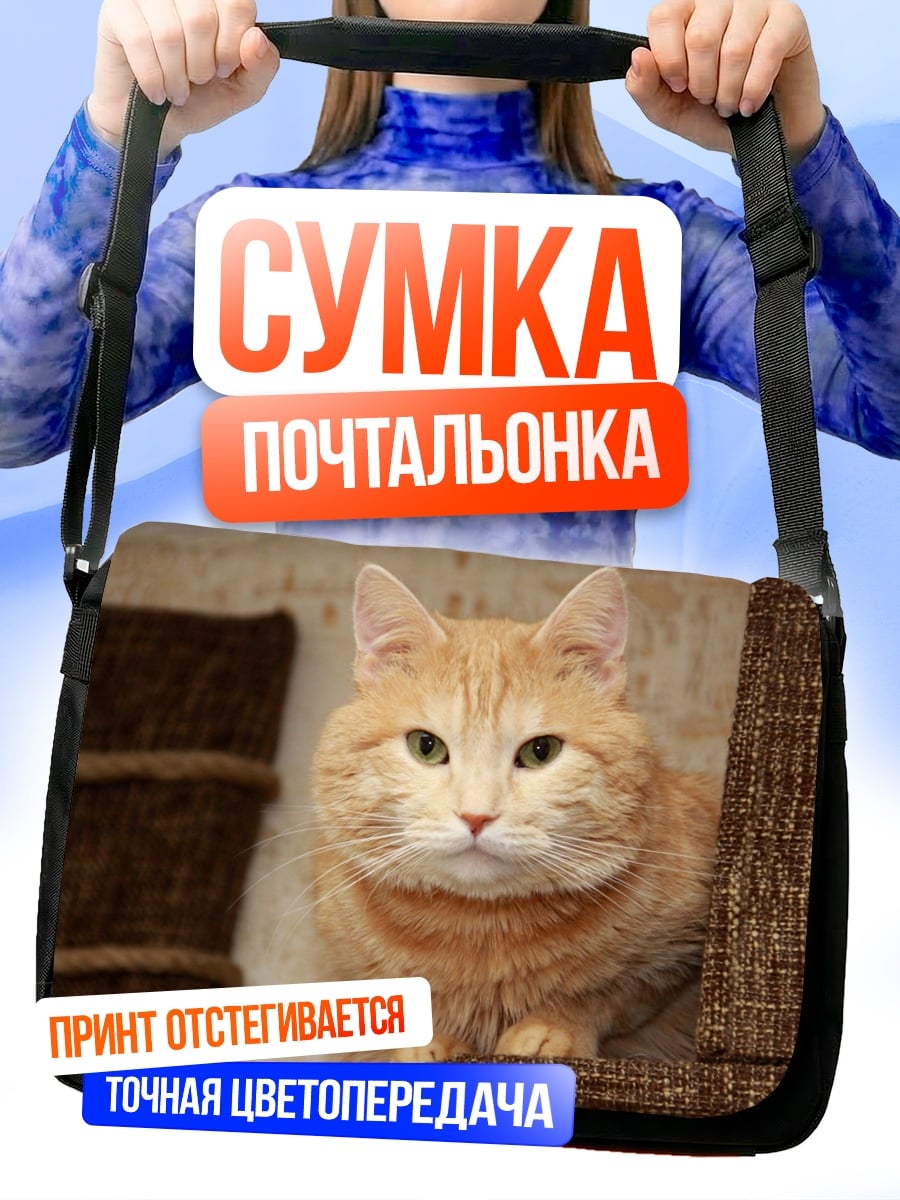 Сумка-почтальонка Рыжий кот