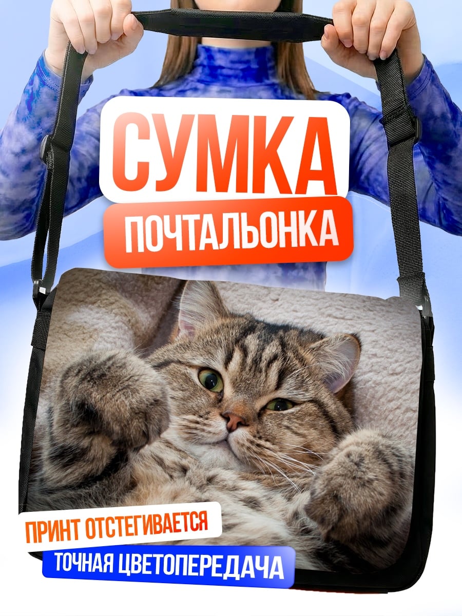 Сумка-почтальонка Ленивый кот