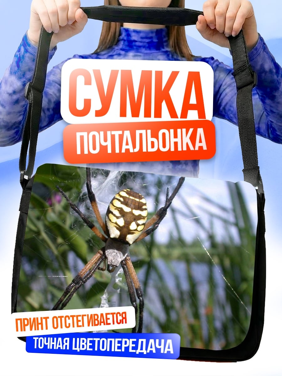 Сумка-почтальонка Паук на паутине