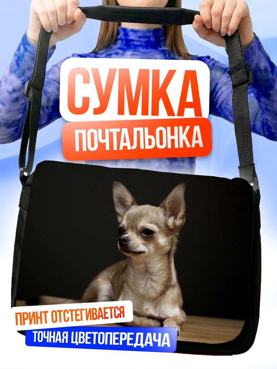 Сумка-почтальонка Чихуахуа на полу