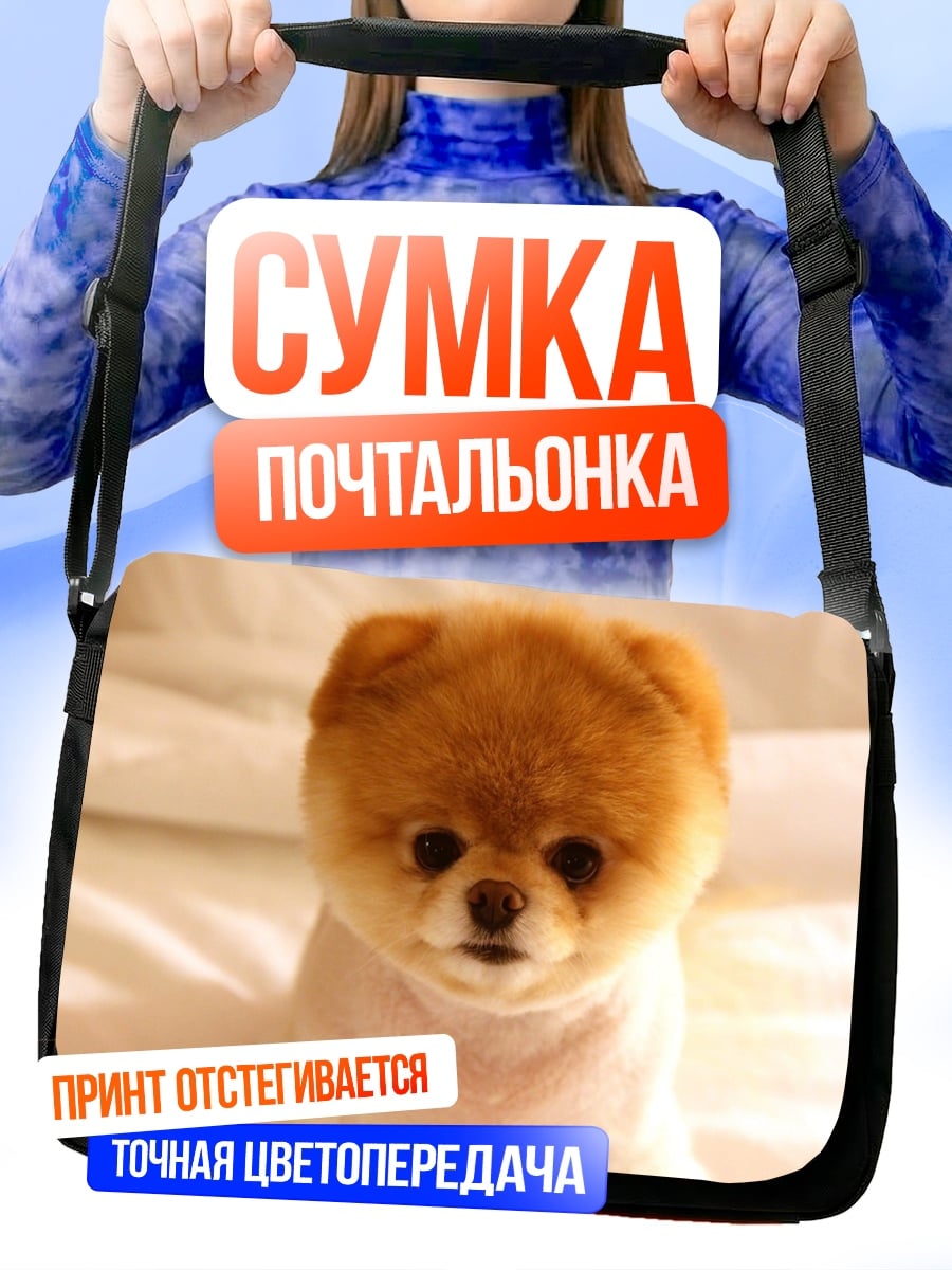 Сумка-почтальонка Милый пёс померанский