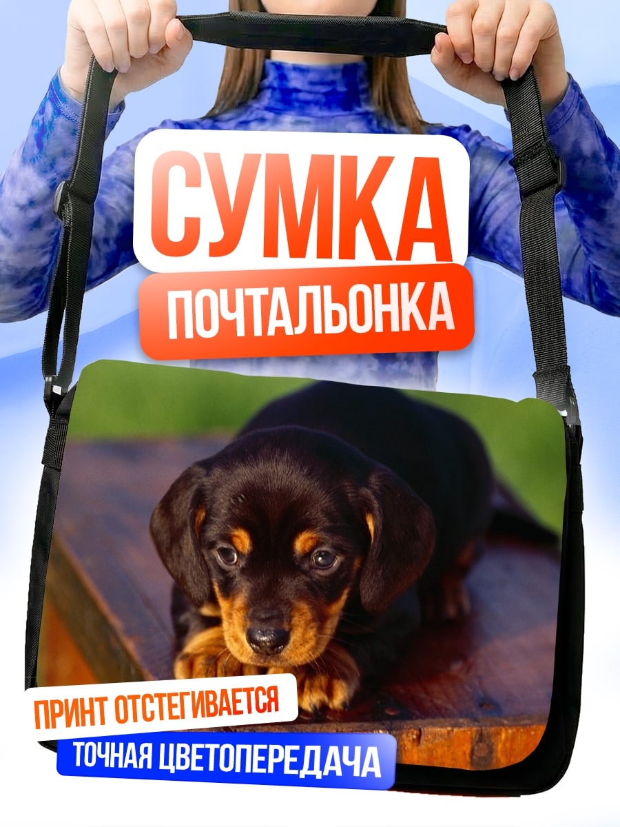 Сумка-почтальонка Милый щенок таксы