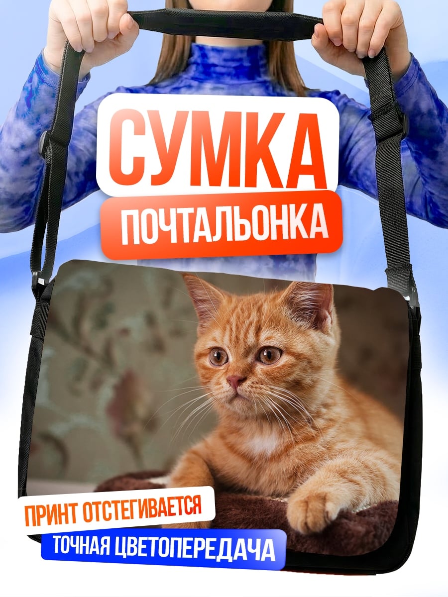 Сумка-почтальонка Рыжий кот лежит