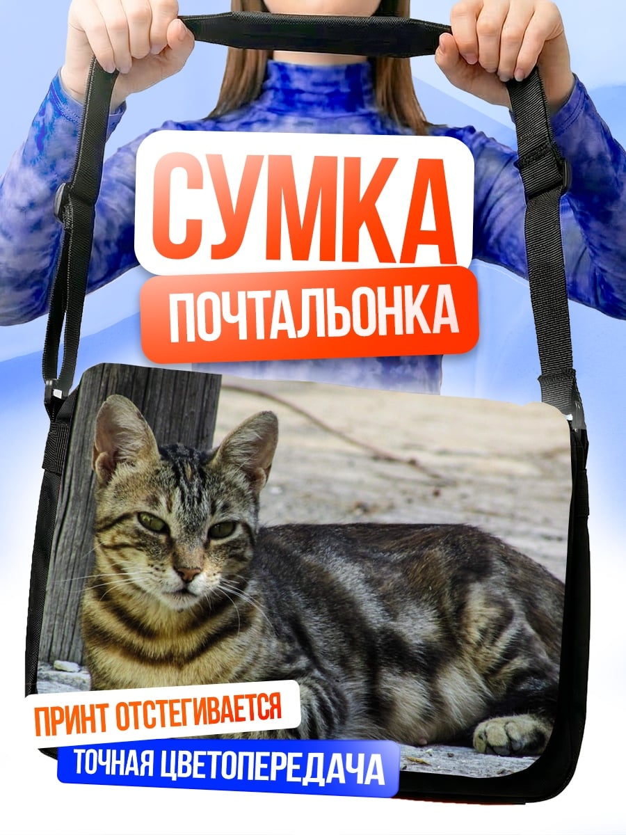Сумка-почтальонка Лежащий кот